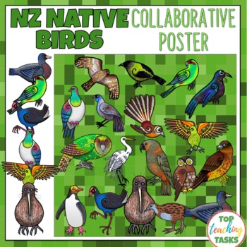 New Zealand Native Birds Collaborative Poster by Top Teaching Tasks