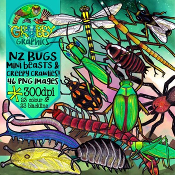 Preview of New Zealand Native Bugs Clip Art {Insects, Spiders & Invertebrates}