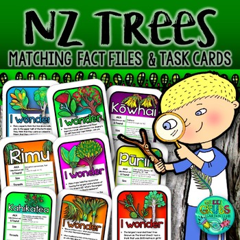 Preview of New Zealand  Native Trees {Fact Files & Task Cards}