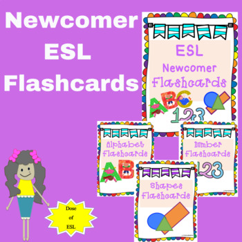 Preview of Newcomer ESL Flashcards