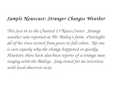 News Report Activity for Reading Street Story The Stranger