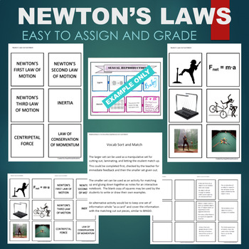 Preview of Newton's Laws (Inertia, Centripetal, Momentum) Sort & Match STATIONS Activity