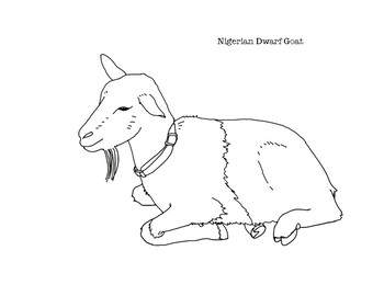 nigerian animals coloring pages