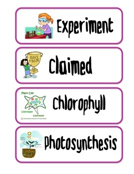 Preview of Night of the Spadefoot Toads Domain Specific Vocabulary