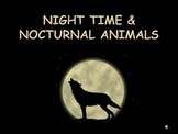 Nighttime and Nocturnal Animals