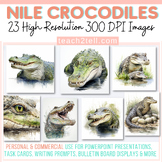 Nile Crocodiles Clip Art African Animals Reptiles Realisti