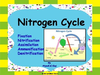 Preview of Nitrogen Cycle -  Describing whole cycle processes with human impact