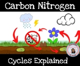 Nitrogen Carbon Cycle, Deforestation, Global Warming Visuals