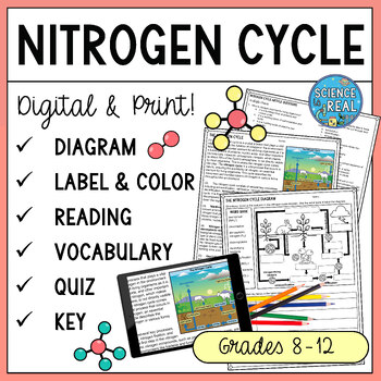 Preview of Nitrogen Cycle Diagram, Reading Comprehension, and Questions Worksheets