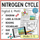 Nitrogen Cycle Diagram, Reading Comprehension, and Questio
