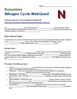 Preview of Nitrogen Cycle Ecosystem WebQuest