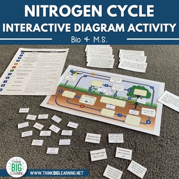 Preview of Nitrogen Cycle Interactive Diagram Activity with Task Cards