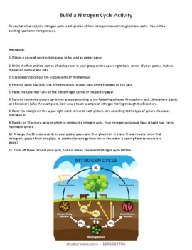 Preview of Nitrogen Cycle Manipulative