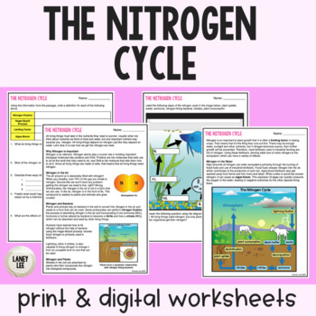 Preview of Nitrogen Cycle - Reading Comprehension Worksheets