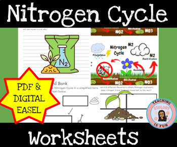 Preview of Nitrogen Cycle Reservoirs and Biology | Print and Digital EASEL