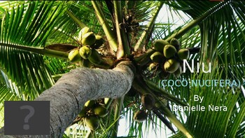 Preview of Niu (Coconut) Presentation