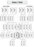Plain family tree template (genetic relationship version)