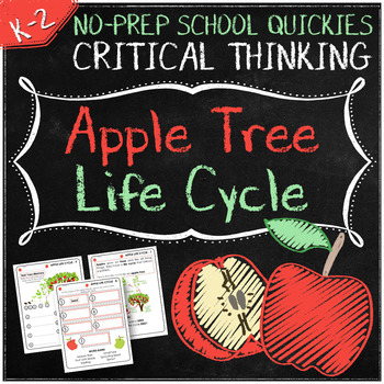 Preview of No-Prep Apple Tree Life Cycle