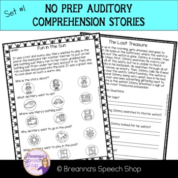 Preview of No Prep Auditory Comprehension Stories - Set 1