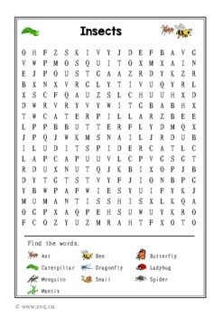 No Prep! ESL Word Search: Insects, vocabulary Worksheet -Answer key ...