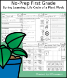No-Prep First Grade Spring Learning:  Life Cycle of a Plant Week