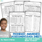 Phonemic Awareness: Reading Readiness Assessment Data Sheets