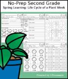 No-Prep Second Grade Spring Learning: Life Cycle of a Plant Week