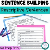 descriptive sentences worksheets teaching resources tpt