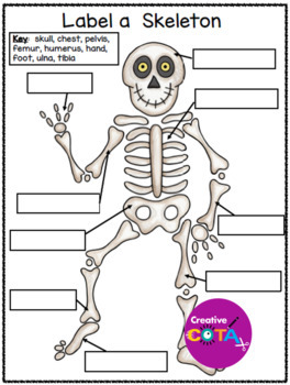 No Prep Skeleton Writing, Fine Motor and Visual Perception Activities