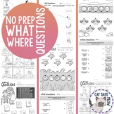 No Prep What & Where Worksheets