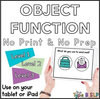 Preview of No Print Basic Concepts: Object Function with Task Box Cards