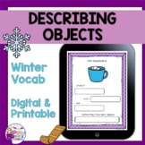Digital or Printable | Describing Objects for Winter