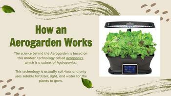 Preview of No Soil Gardening Explained! Hydroponics in the Classroom!