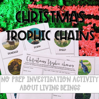 Preview of No prep christmas activity for science middle school: christmas food web