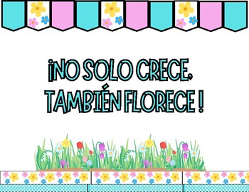 Preview of No solo crece, también florece! Bulletin Board/Spanish/Spring Florals