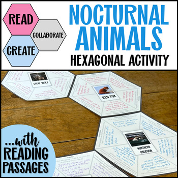Preview of Fun Middle School End of Year Project Collaborative Nocturnal Animals Activity