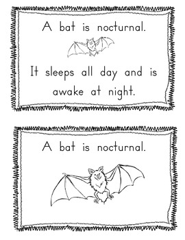 Nocturnal Animal Book and Worksheet: Differentiated Instruction | TPT