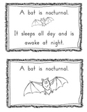Nocturnal Animal Book and Worksheet: Differentiated Instruction