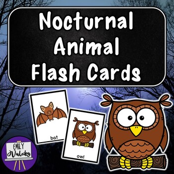 Preview of Nocturnal Animal Flash Cards - Pre-K and Kindergarten Vocabulary Cards