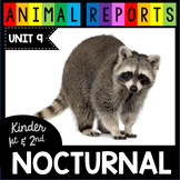 Nocturnal Animal Reports - Bats - Flying Squirrels Crafts 