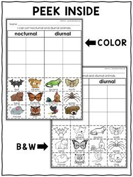 Nocturnal Animals Sort Activities by Nicole and Eliceo | TpT