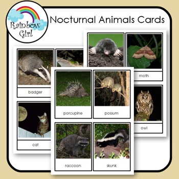 nocturnal animals meaning and examples