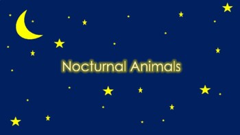 Preview of Nocturnal Animals