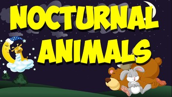 Preview of Nocturnal Animals! (A Music Video)