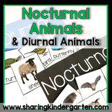 Nocturnal Animals Activities, Diurnal Animals Activities