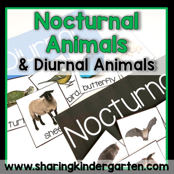 Preview of Nocturnal Animals Activities and Printables, Diurnal Animals Activities Kinder