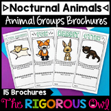 Nocturnal  Animals | Animal Groups and Animal Classificati