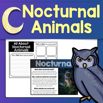 Preview of Nocturnal Animals - Animal Science Unit for Kindergarten, First & Second Grade