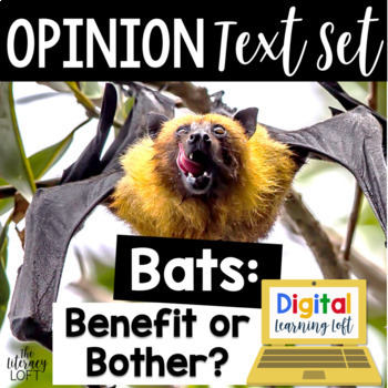 Preview of Nocturnal Animals Bats October Writing Prompts Opinion Writing 3rd Grade 4th 5th