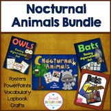 Nocturnal Animals Owls and Bats Informational Text Activit